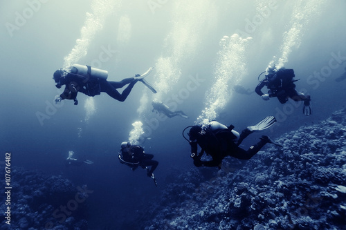 Fototapeta divers underwater the sea
