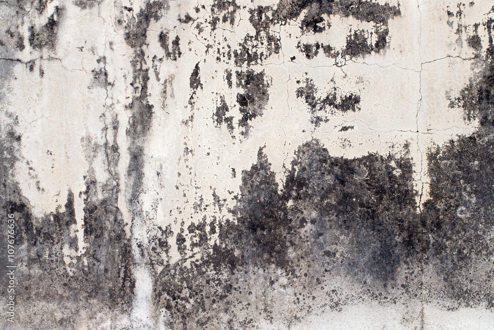 Fototapeta premium white concrete wall texture