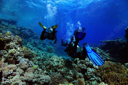 Fotografie divers underwater the sea