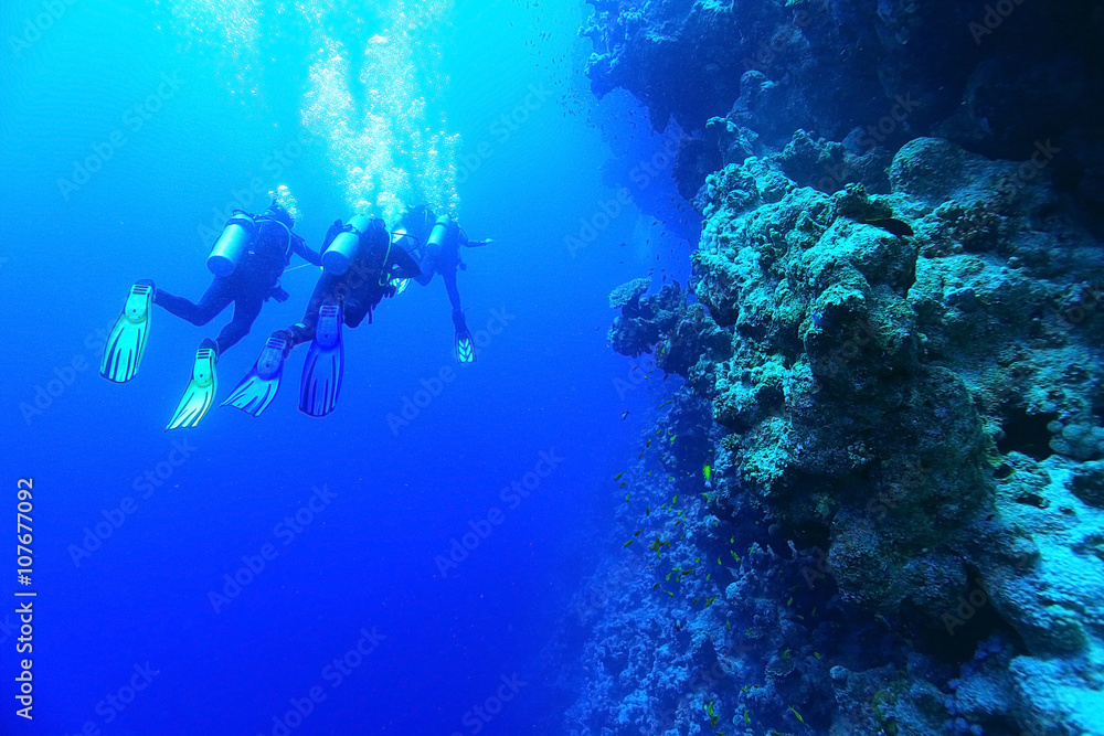group of divers underwater on a coral reef group of divers underwater on a coral reef