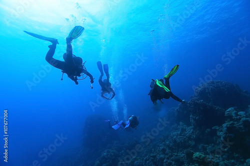 divers underwater the sea © kichigin19
