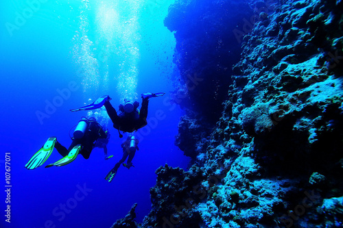 Wallpaper Mural freediving scuba photo Torontodigital.ca