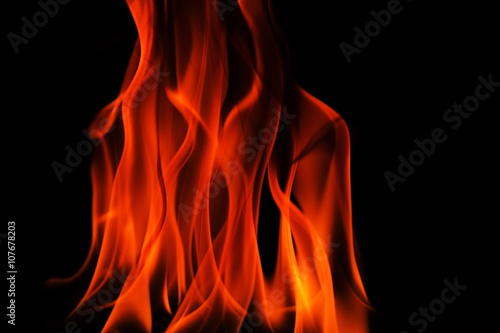 The red tongues of fire, flames on black