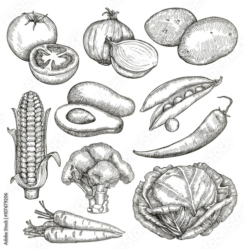 Vegetables, sketches, hand drawing, vector set