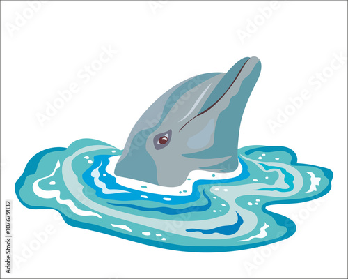 Dolphin in sea water. Funny dolphin head peeps out of the water vector illustration.
