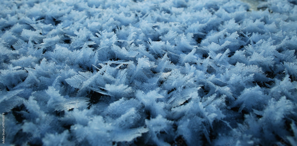 Fototapeta premium rime snow texture