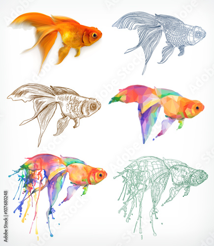 Goldfish, different styles, vector drawing, icon set