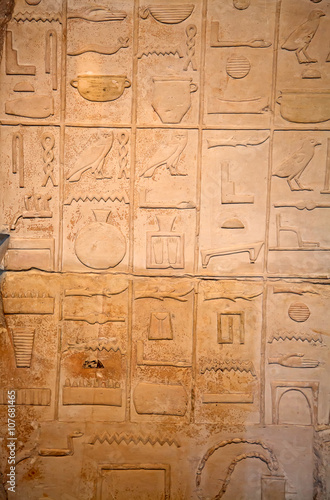 Hieroglyphs on the wall