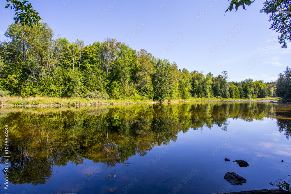 Fototapeta premium Still Reflection in Pond