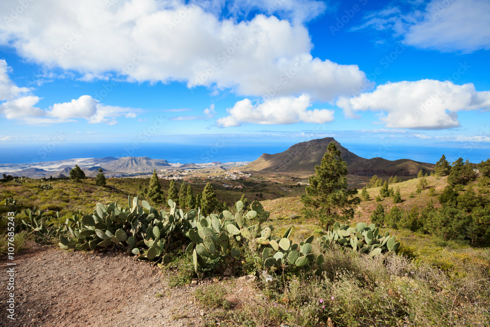Beautiful Tenerife landscape - El Teide