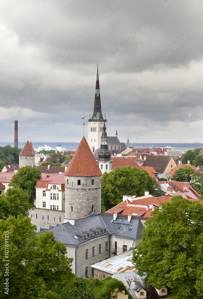 City from an observation deck. Tallinn. Estonia.