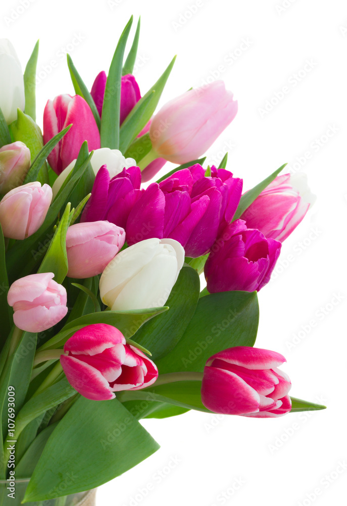 bouquet of  pink, purple and white  tulips