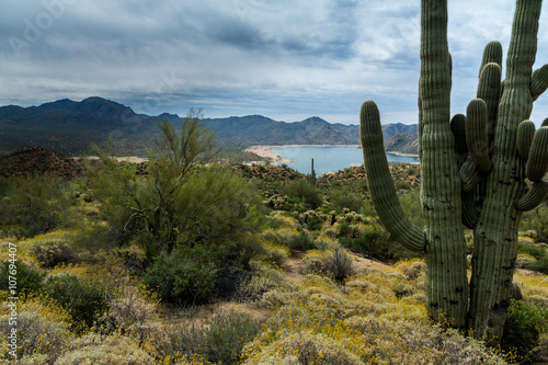 Hidden Treasures abound around Phoenix Arizona 