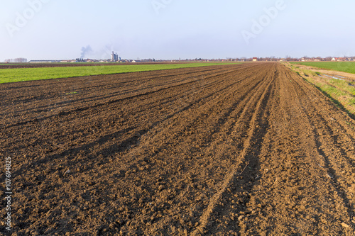 Agricultural landsaple  arable crop field