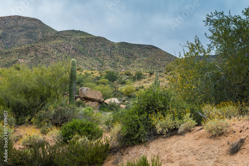 Hidden Treasures abound around Phoenix Arizona 