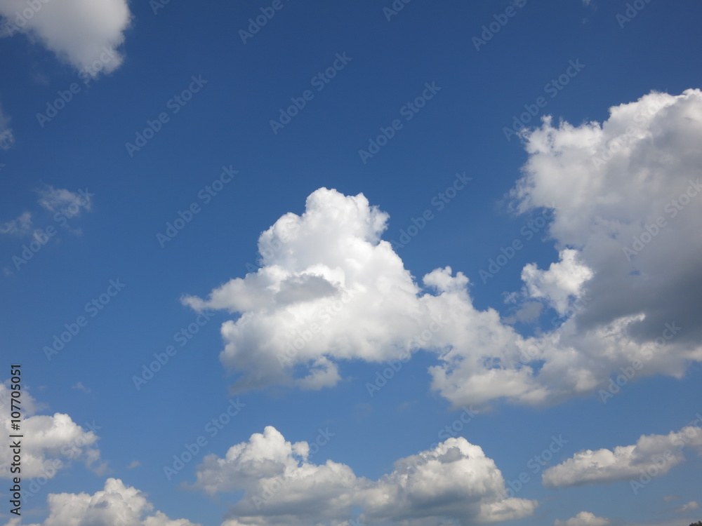 Fototapeta premium cloud and summer sky