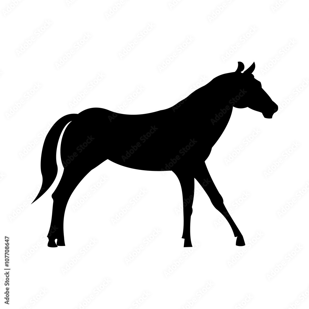 Wild horse silhouette