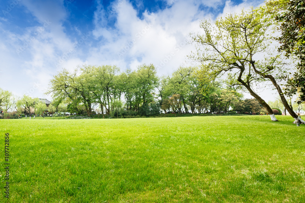 The beautiful green lawn in the spring park