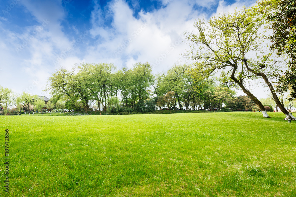 The beautiful green lawn in the spring park The beautiful green lawn in the spring park