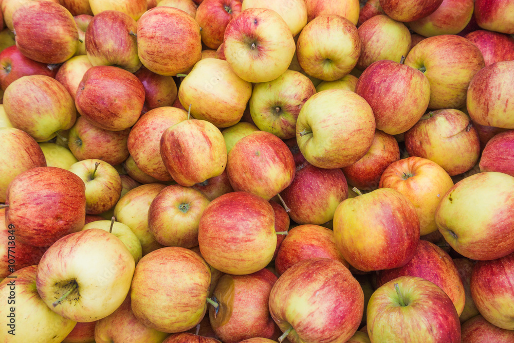 fresh red and yellow apples. Group of apples fresh red and yellow apples. Group of apples