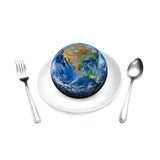 the earth on plate and spoon, including elements furnished by NA