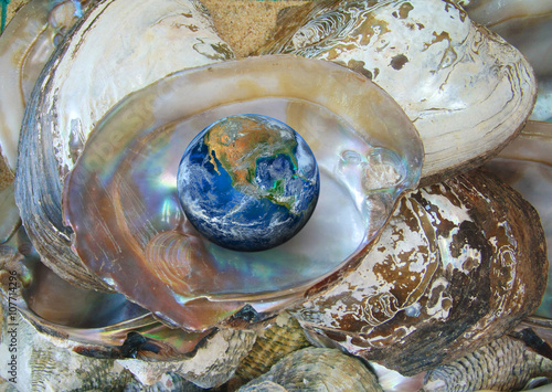 the earth with oyster , including elements furnished by NASA