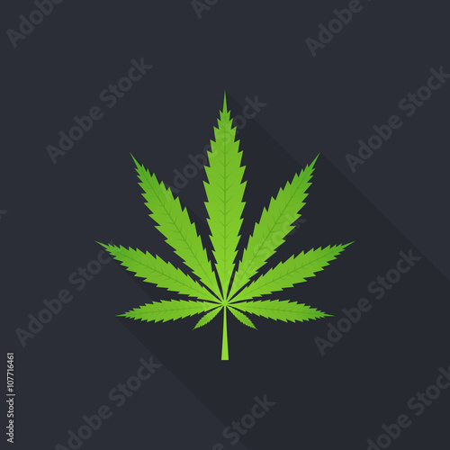 Cannabis leaf icon - Vector