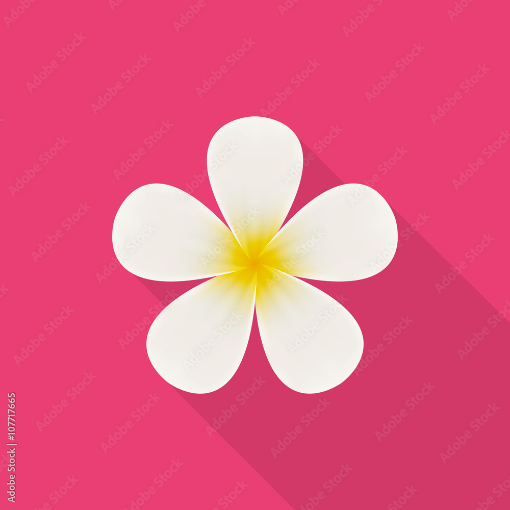 Fototapeta premium Plumeria (frangipani) flower icon - Vector