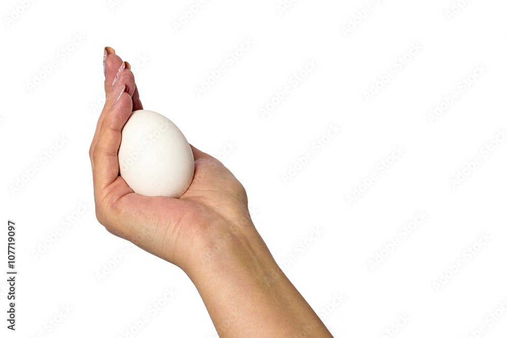 Hand with egg on a white background Hand with egg on a white background