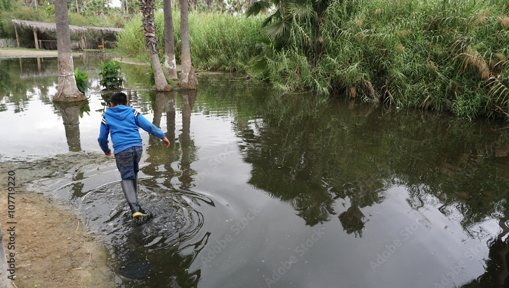 Flooded farm in central america Flooded farm in central america