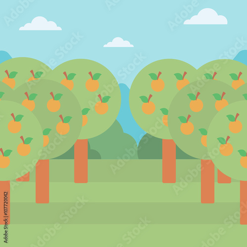 Background of orange trees