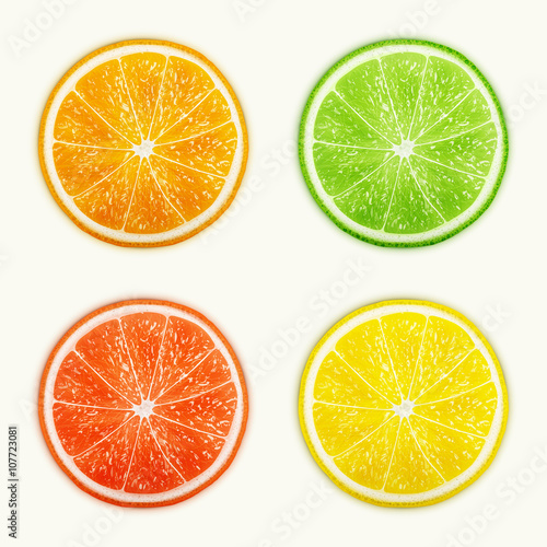 Set of citrus fruits. Orange, Lime, Grapefruit, Lemon.