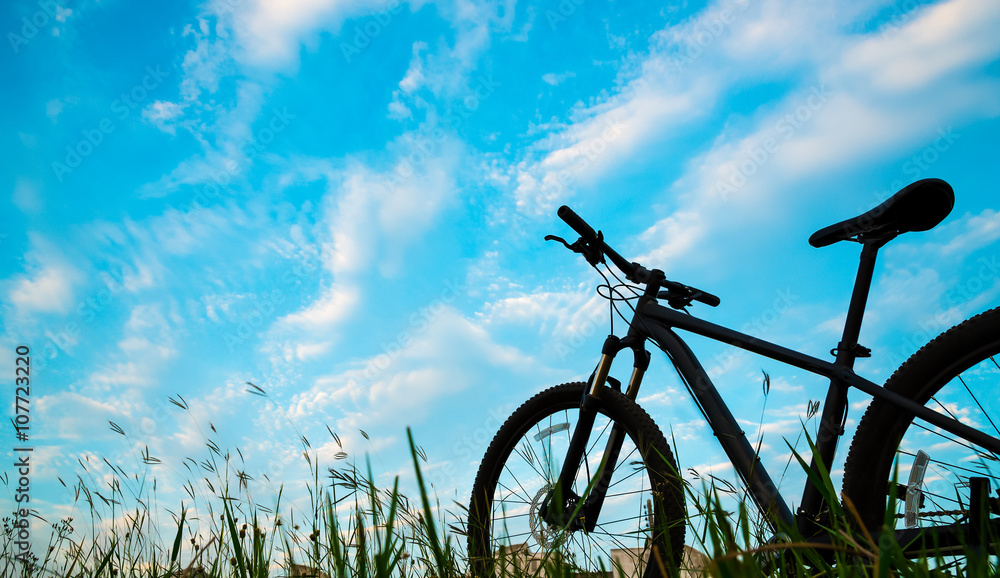 Fototapeta premium Silhouette Mountain biking, down hill at sunset
