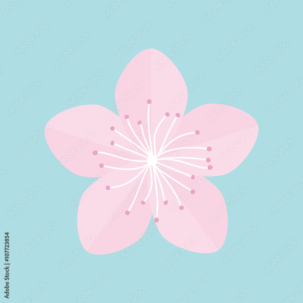 Sakura flower icon. Japan blooming cherry blossom Isolated Blue background Flat design