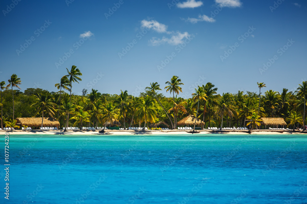 Naklejka premium Palm trees on the tropical beach