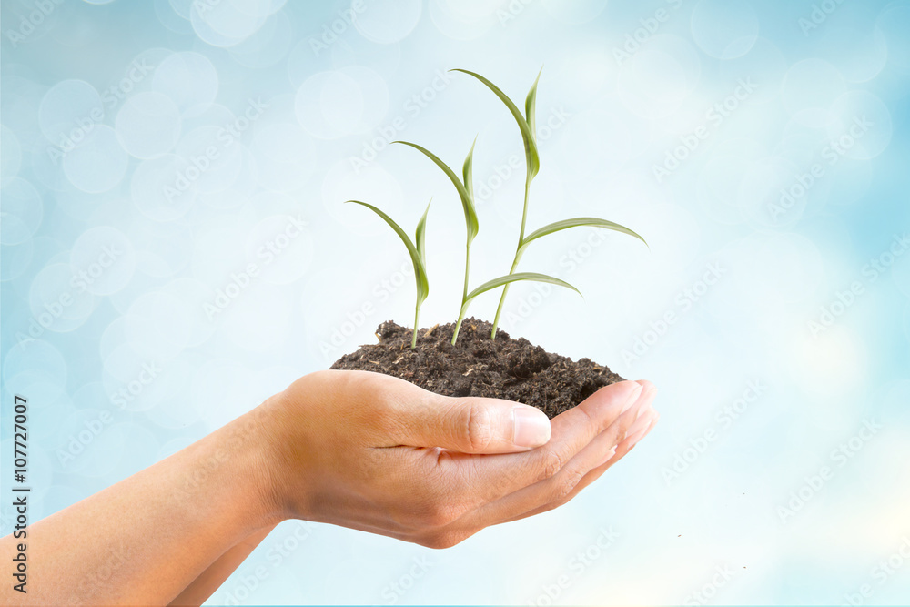 Hand and Sprout of tree with soil growing up on blue abstract background, metaphoric for Finance, Income, Interest, Business and Banking