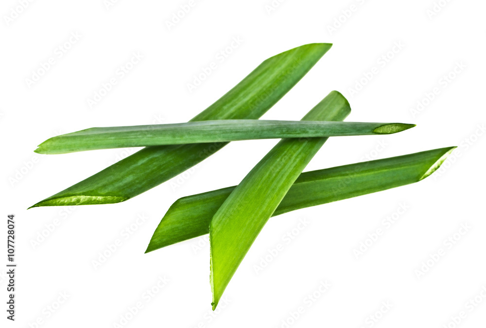 Green onion herb chopped isolated on white background Green onion herb chopped isolated on white background
