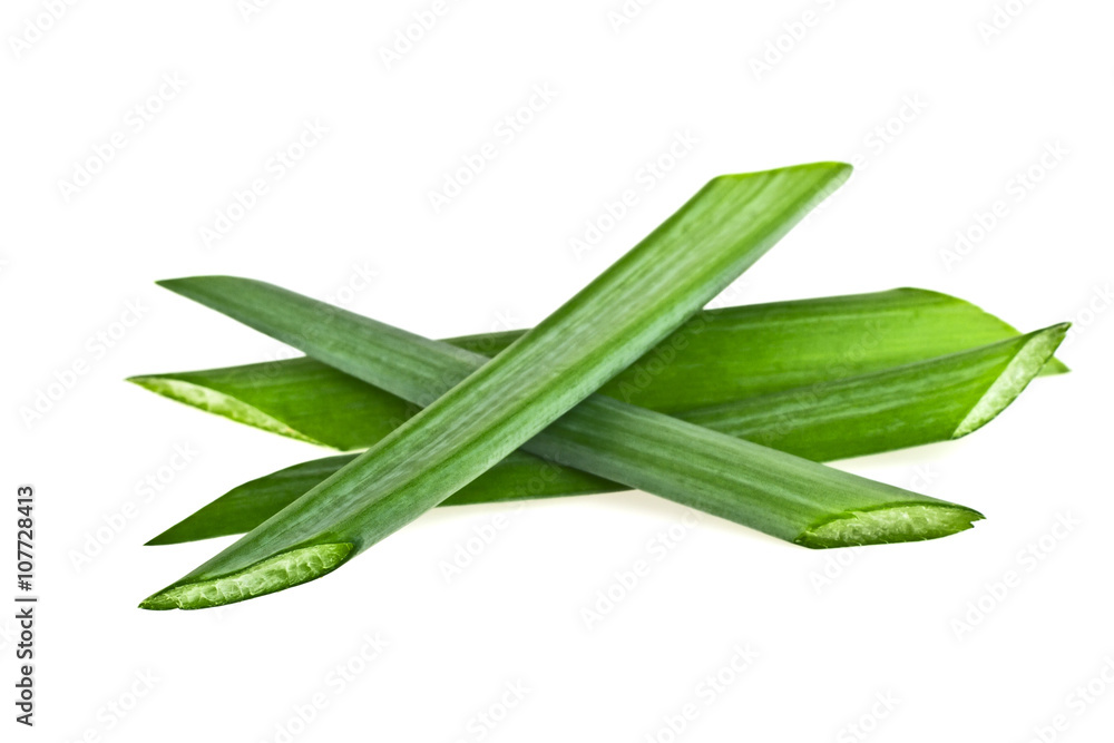 Fototapeta premium Green onion herb chopped isolated on white background