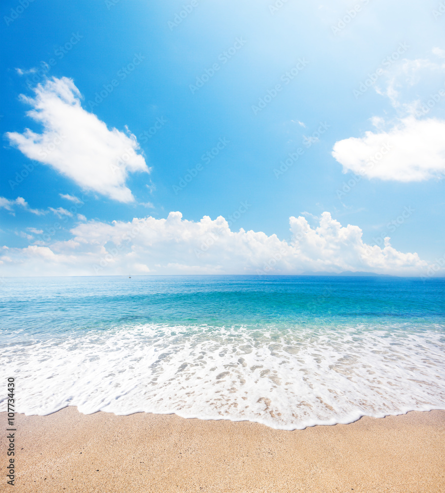 Fototapeta premium beach and tropical sea