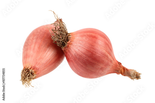 Two shallots isolated on white