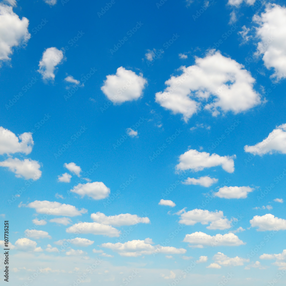 Obraz premium blue sky and white cumulus clouds
