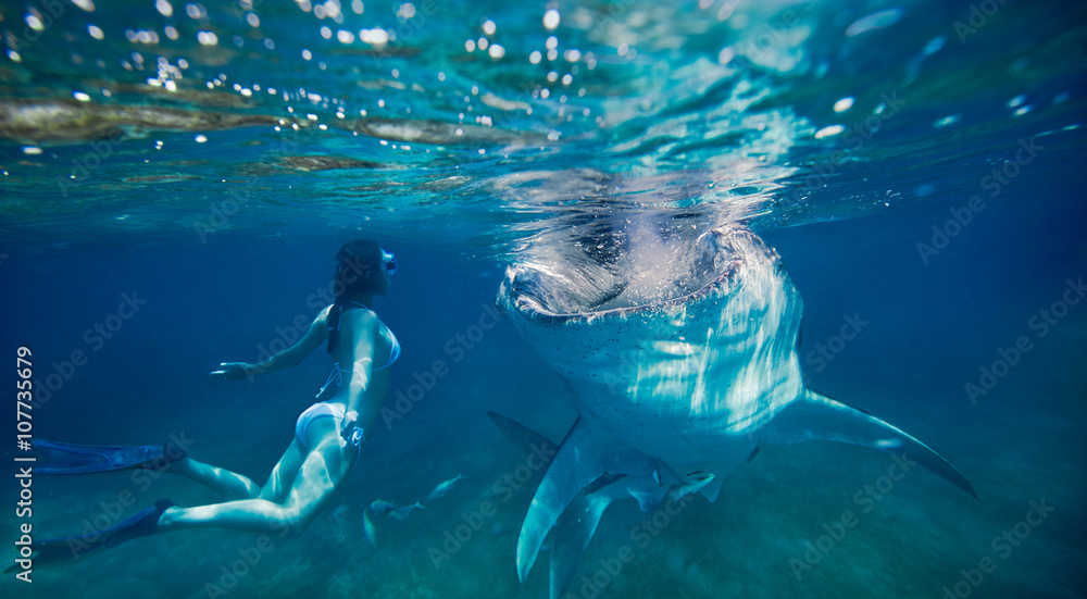Naklejka premium kobieta nurkowanie z rurką pod wodą patrzy na dużego rekina wielorybiego.