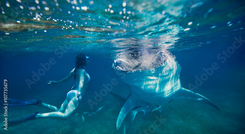 woman snorkeling underwater looks at a large whale shark.