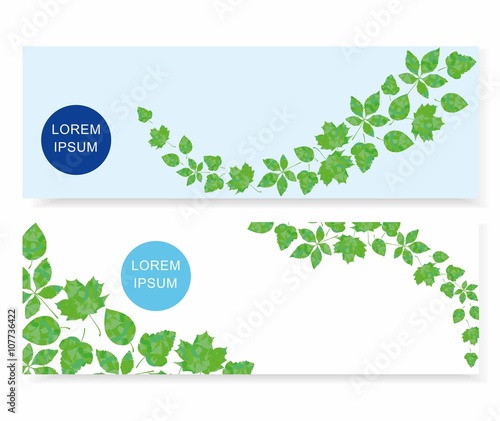Set of banners with green leaves on white background