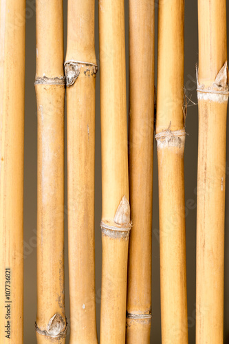   bamboo wall texture background