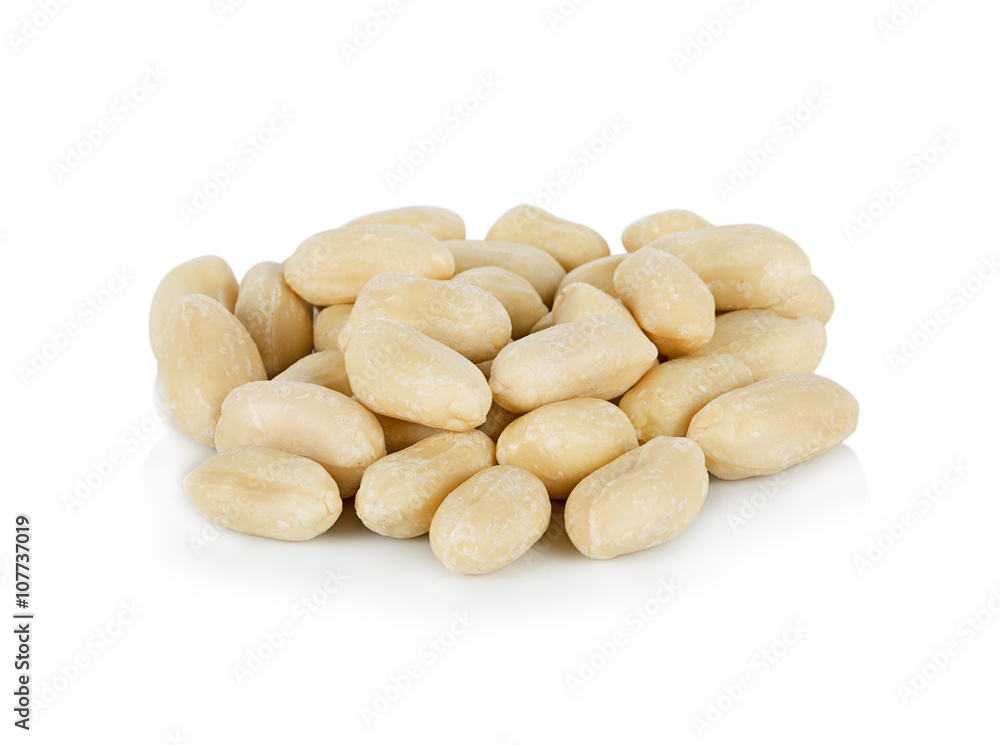 peanut on white background peanut on white background