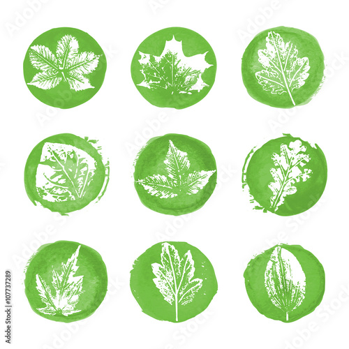 Leaves imprints icons
