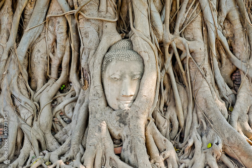 Head of Buddha statue in the tree roots at Wat Mahathat temple, Ayutthaya, Thailand