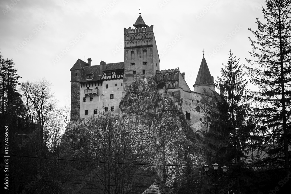 Gothic castle dracula