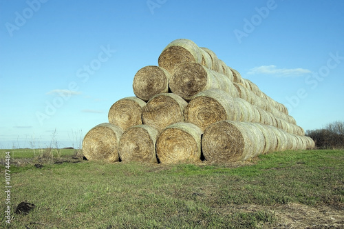 Circles of hay stacked on a field